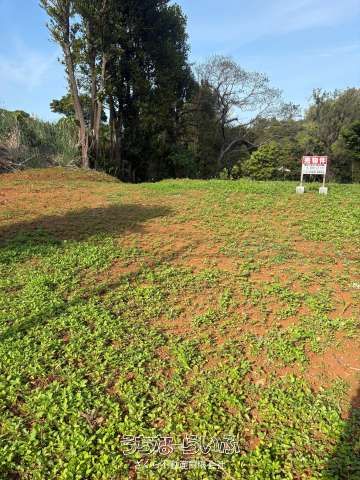 826 sqm Land for Sale in Motobu, Okinawa - Natural Park Area - Thumbnail 3