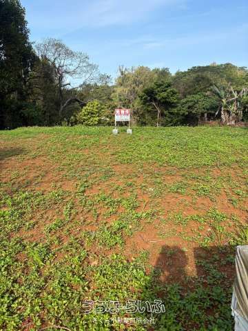826 sqm Land for Sale in Motobu, Okinawa - Natural Park Area - Thumbnail 2