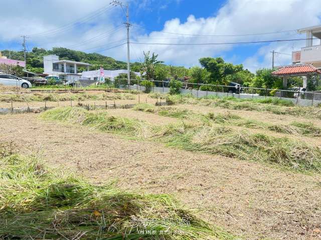 439.59 sqm Land for Sale in Katsuren Heianna, Uruma, Okinawa - Thumbnail 3