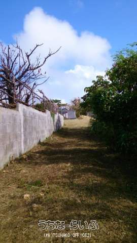 9.06 sqm Cemetery Land for Sale in Ginowan City, Okinawa - Thumbnail 4
