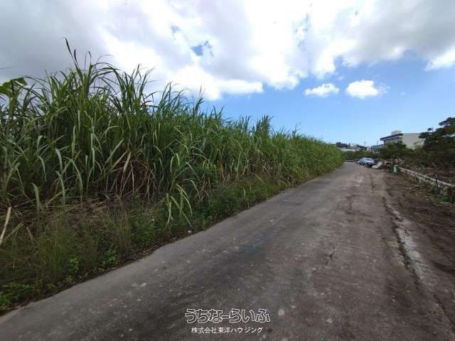 Agricultural Land for Sale in Itoman City, Okinawa - 2209 sqm - Thumbnail 4