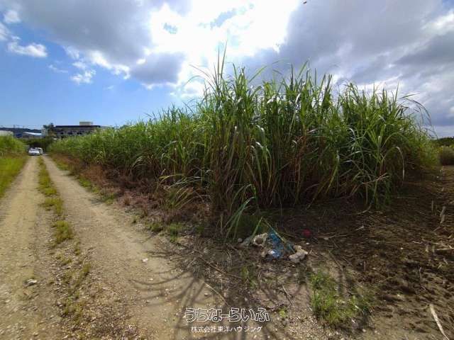 Agricultural Land for Sale in Itoman City, Okinawa - 2209 sqm - Thumbnail 2