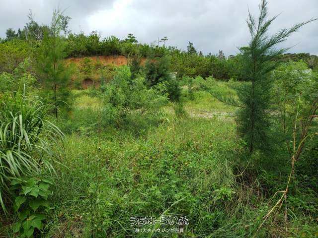 1618 sqm Land for Sale in Henoko, Nago City, Okinawa - Thumbnail 2