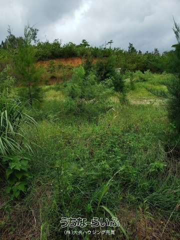 1618 sqm Land for Sale in Henoko, Nago City, Okinawa - Image 1