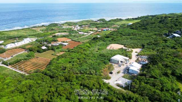 1,432 sqm Land for Sale in Kouri, Nakijin Village, Okinawa - Thumbnail 3
