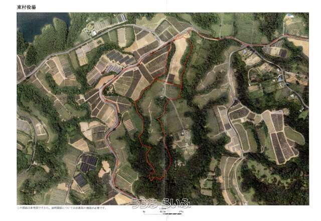 35,612 sqm Agricultural Land for Sale in Higashi Village, Okinawa - Thumbnail 3