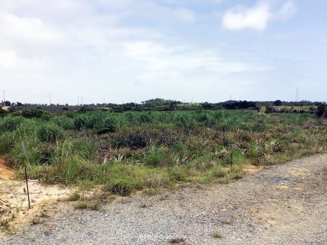 35,612 sqm Agricultural Land for Sale in Higashi Village, Okinawa - Thumbnail 4
