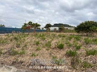 Agricultural Land for Sale in Nanjo City, Okinawa - 1888m² - Thumbnail 2