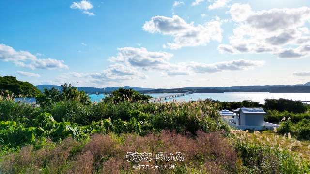 542m² Land for Sale on Kouri Island, Okinawa with Sea Views - Thumbnail 4
