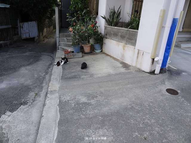 4LDK Apartment for Sale Near Ashimori Monorail Station, Naha - Thumbnail 4