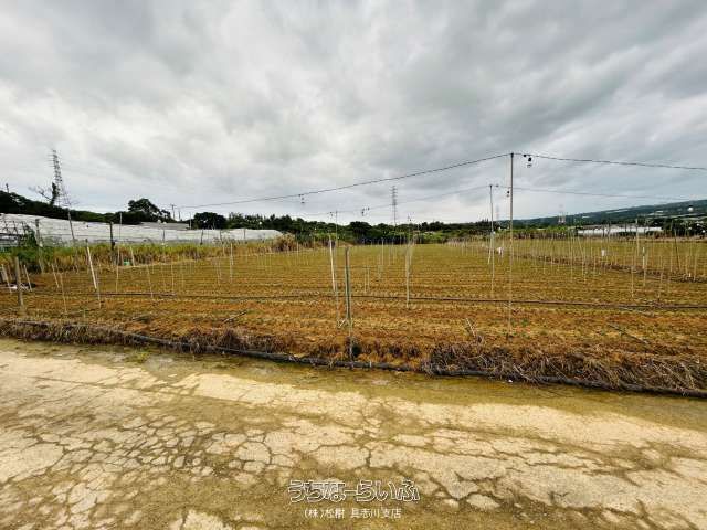 Agricultural Land for Sale in Uruma City, Okinawa - 2950m² - Thumbnail 2