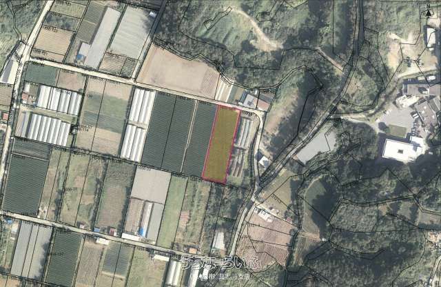 Agricultural Land for Sale in Uruma City, Okinawa - 2950m² - Thumbnail 3