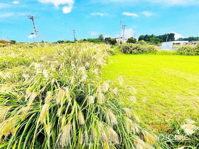 452m² Land Plot in Sesoko, Motobu Town, Okinawa - Thumbnail 4