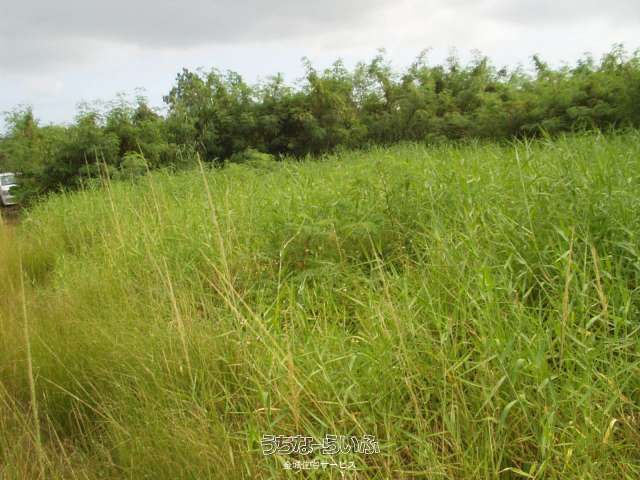 250m² Land for Sale in Nanjo City, Okinawa - No Building Allowed - Thumbnail 4