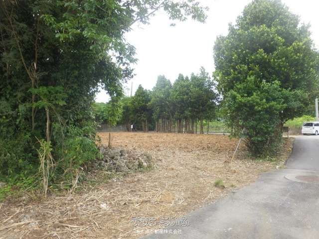 746 sqm Land for Sale in Motobu, Okinawa - Ready to Build - Thumbnail 4