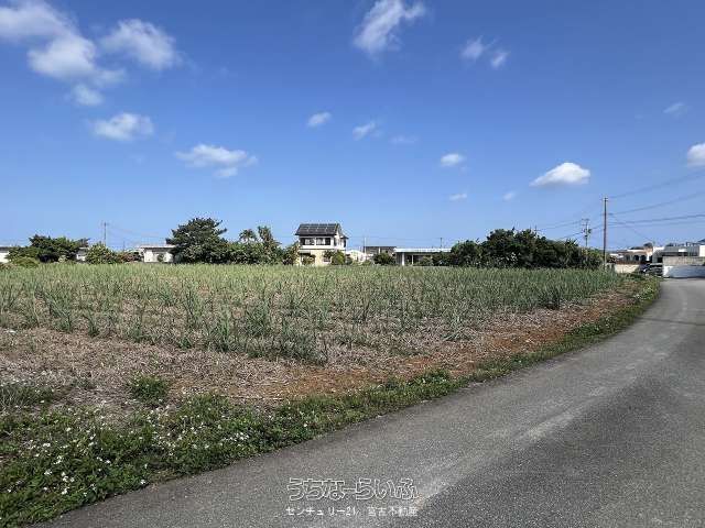 1000 Tsubo Land for Sale in Koshihara, Miyakojima City - Thumbnail 2