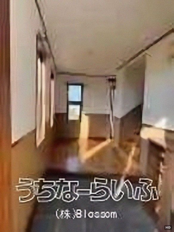 3LDK Detached House for Sale in Urasoe, Okinawa - Thumbnail 4