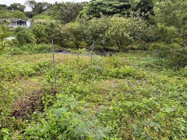 362m² Land for Sale in Motobu Town, Okinawa Near Motobu High School - Image 1