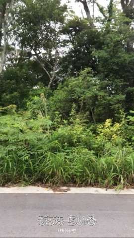 93m² Land for Sale in Shoshi, Nakijin Village, Okinawa - Thumbnail 2