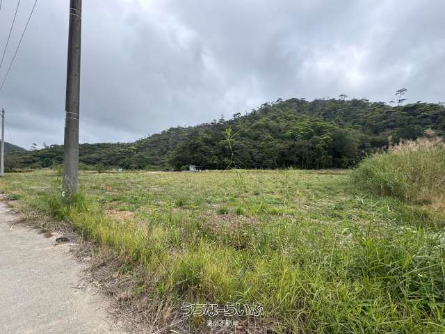 17,127 sqm Agricultural Land for Sale in Nago City, Okinawa - Thumbnail 3
