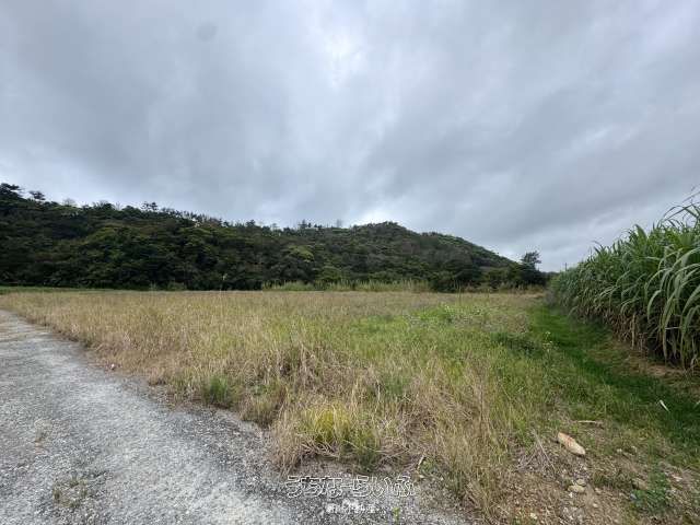 17,127 sqm Agricultural Land for Sale in Nago City, Okinawa - Thumbnail 2