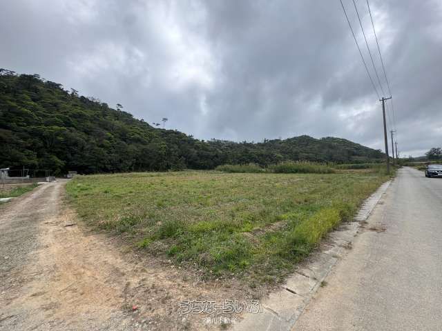 17,127 sqm Agricultural Land for Sale in Nago City, Okinawa - Thumbnail 4