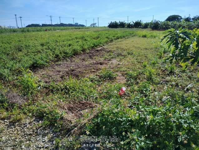 1463㎡ Agricultural Land for Sale in Itoman City, Okinawa - Thumbnail 3