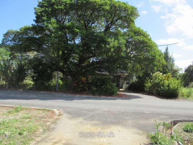 477.12 sqm Land for Sale in Kin, Okinawa with Existing Structure - Thumbnail 3