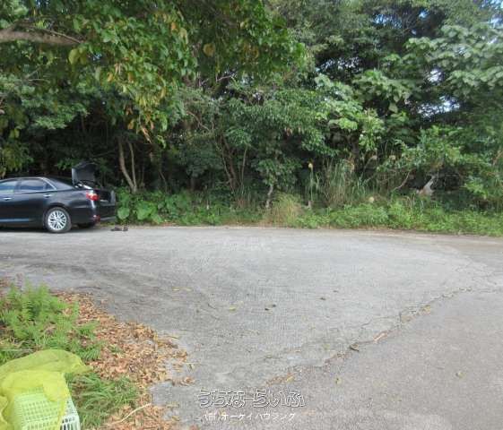 17,741 sqm Land for Sale in Nakijin Village, Okinawa - Image 1