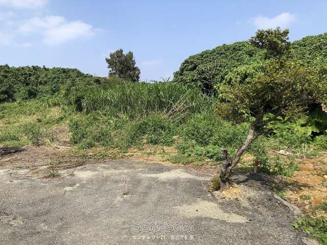 2265 sqm Land for Sale in Miyakojima City, Okinawa - Thumbnail 3