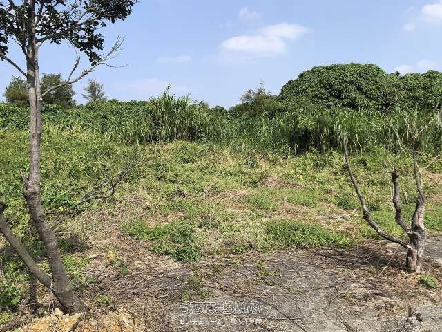 2265 sqm Land for Sale in Miyakojima City, Okinawa - Thumbnail 2