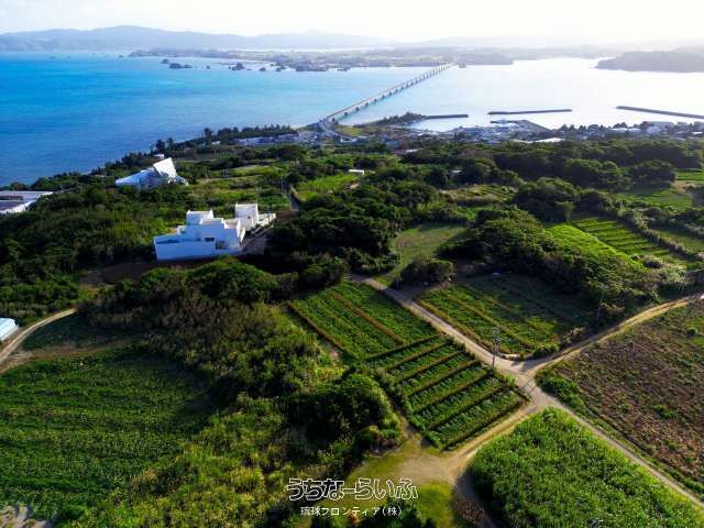 438 sqm Land for Sale in Kouri, Nakijin Village, Okinawa - Thumbnail 2