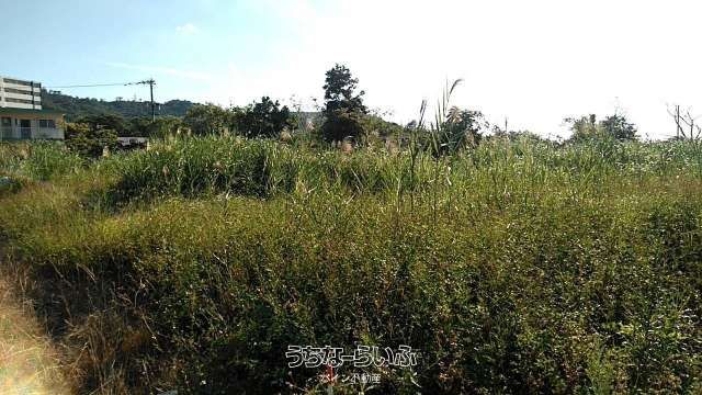 867 Tsubo Land for Sale in Oyakawa, Nago City, Okinawa - Thumbnail 4