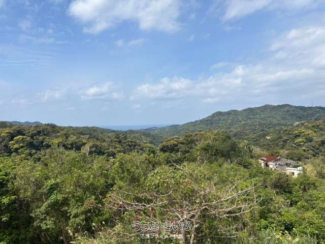 44,656 sqm Land for Sale in Motobu, Okinawa - Business Potential - Thumbnail 4