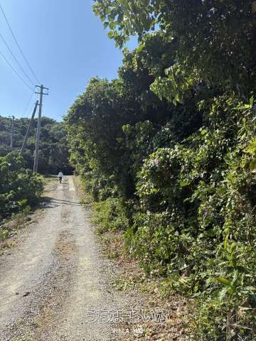 754 Tsubo Development Land for Sale on Kouri Island, Okinawa - Thumbnail 4