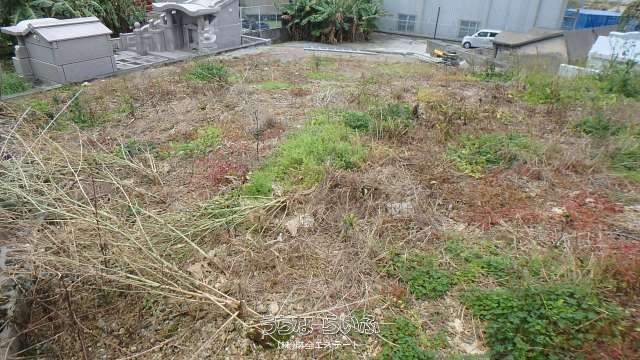 Cemetery Land for Sale in Urasoe, Okinawa - 296.86 sqm - Thumbnail 4