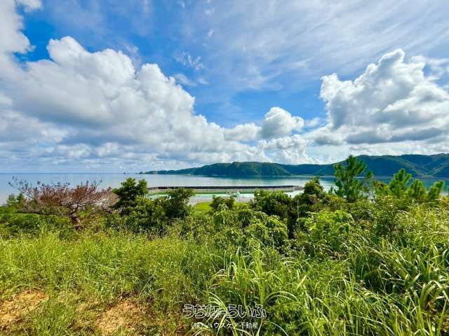 Oceanfront Land for Sale in Higashi Village, Okinawa - 1102 sqm - Thumbnail 2