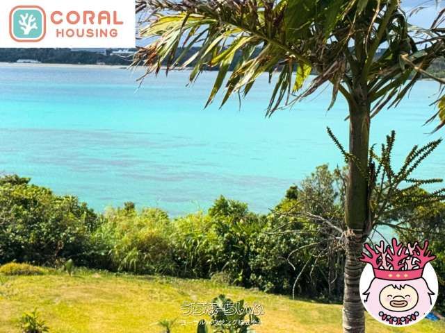 4348㎡ Beachfront Land for Sale in Ginoza, Okinawa - Thumbnail 4