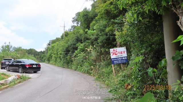 10,197 sqm Land for Sale in Nago City, Okinawa - Thumbnail 4