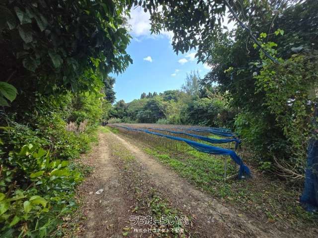 434.69 Tsubo Land for Sale in Yabu, Nago City, Okinawa - Thumbnail 3