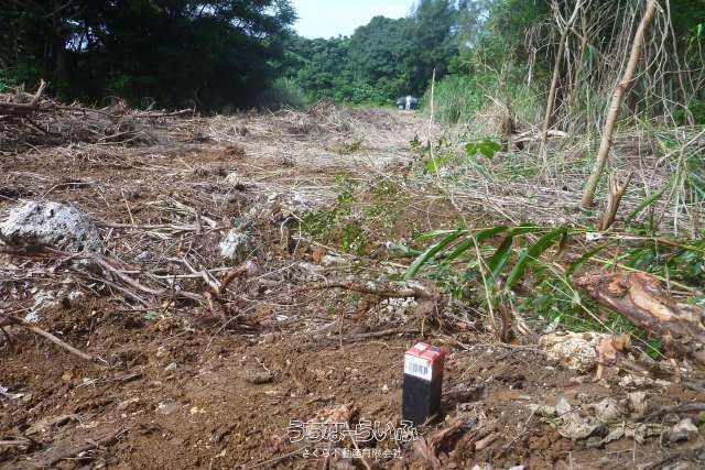 894m² Buildable Resort Land on Sesoko Island, Okinawa - Thumbnail 4