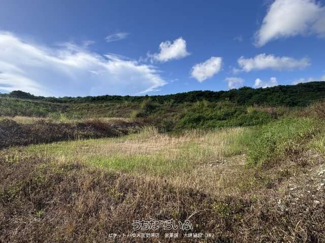 161.55m² Land for Sale in Yomitan Village, Okinawa | Park Adjacent - Thumbnail 3