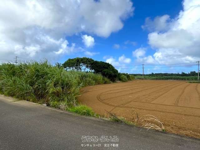 Land for Sale in Miyakojima City, Okinawa - 3542 sqm - Thumbnail 4