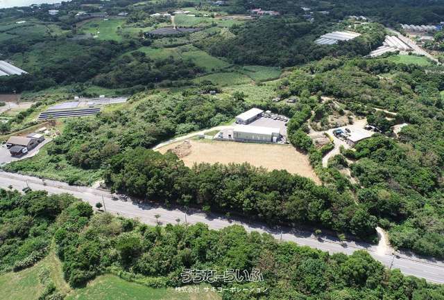 Land for Sale in Nakijin Village, Okinawa - 3391 sqm Plot - Thumbnail 3