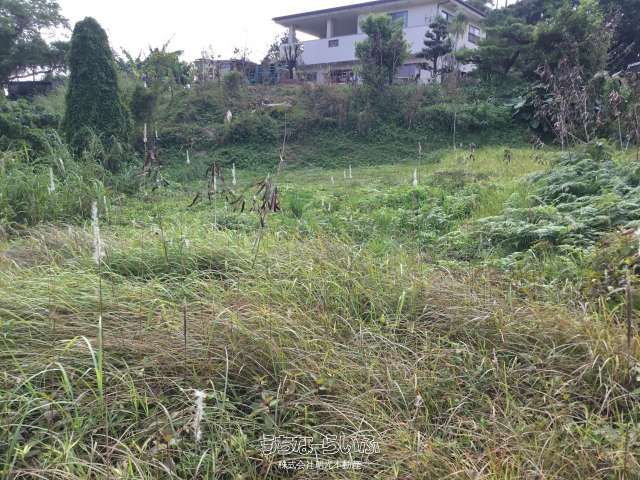 1,439 sqm Land for Sale in Nago City, Okinawa - Image 1