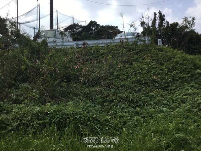 1,439 sqm Land for Sale in Nago City, Okinawa - Thumbnail 4