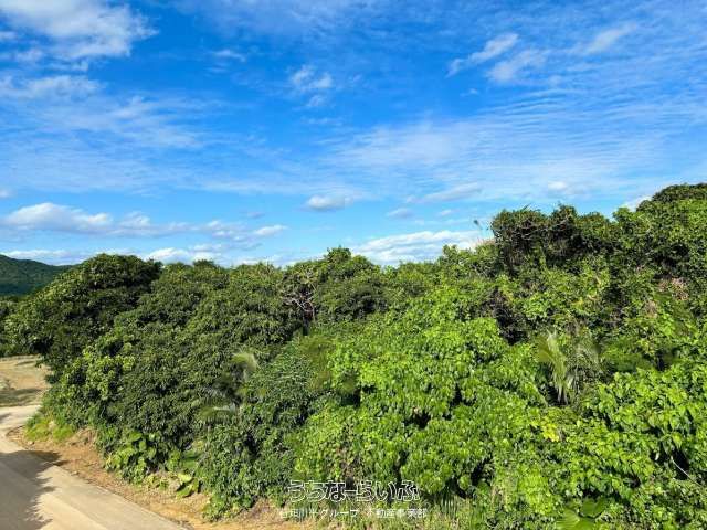 27,830 sqm Land for Sale in Momozato, Ishigaki City, Okinawa - Thumbnail 4