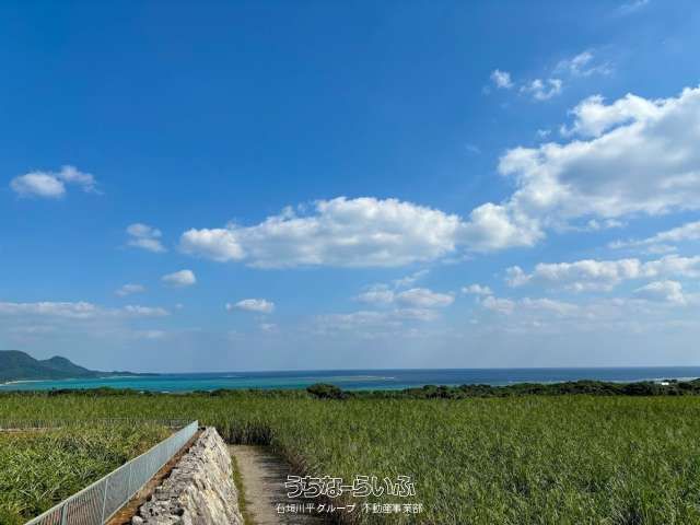 27,830 sqm Land for Sale in Momozato, Ishigaki City, Okinawa - Thumbnail 2