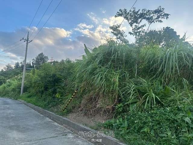 572 sqm Agricultural Land for Sale in Uruma City, Okinawa - Thumbnail 2