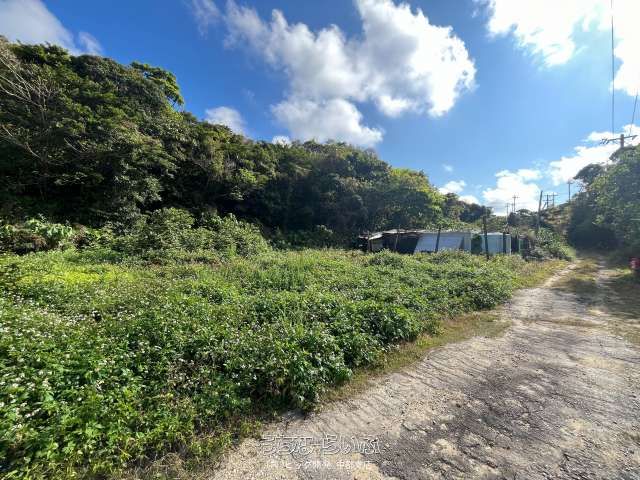 936m² Land for Sale in Noborikawa, Okinawa City - Thumbnail 3